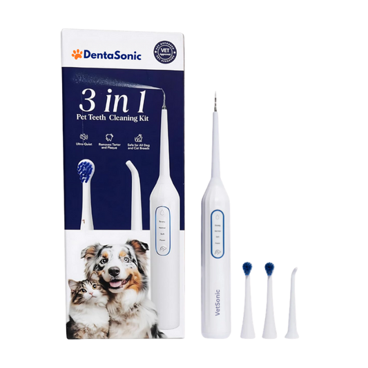 DentaSonic™
